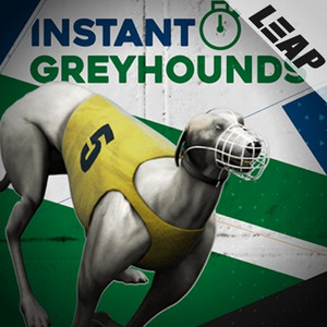 Instant Virtual Greyhounds